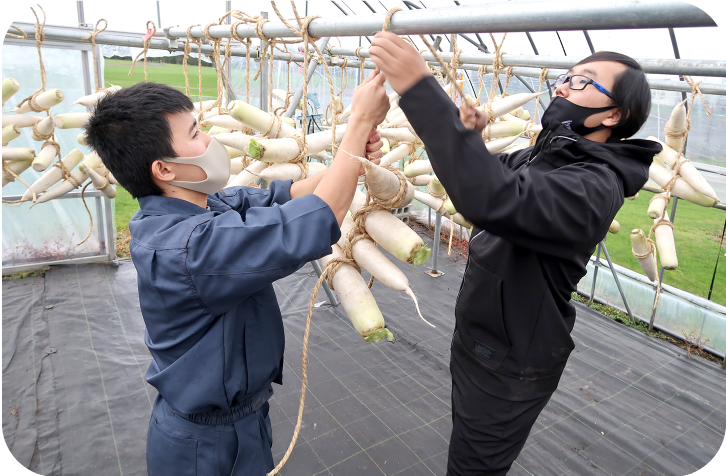 食品加工や食の安全・文化を学ぶ